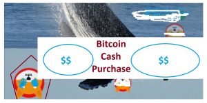 Pattern For Bitcoin Cash Purchase On Crypto