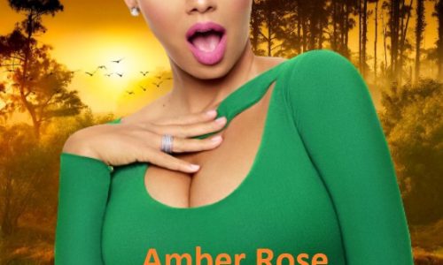 Amber Rose Phone Number | Whatsapp Number | Email Address