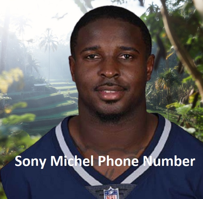 Sony Michel Phone Number