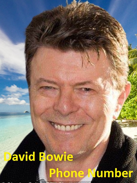 David Bowie Phone Number