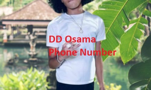 DD Osama Phone Number | WhatsApp Number | Email Address 8032