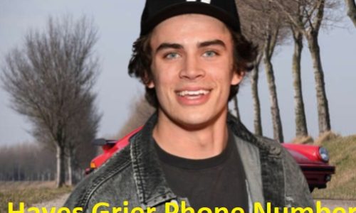 Hayes Grier Phone Number | WhatsApp Number | Email Address 8035